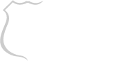 Blue Line technology Logo